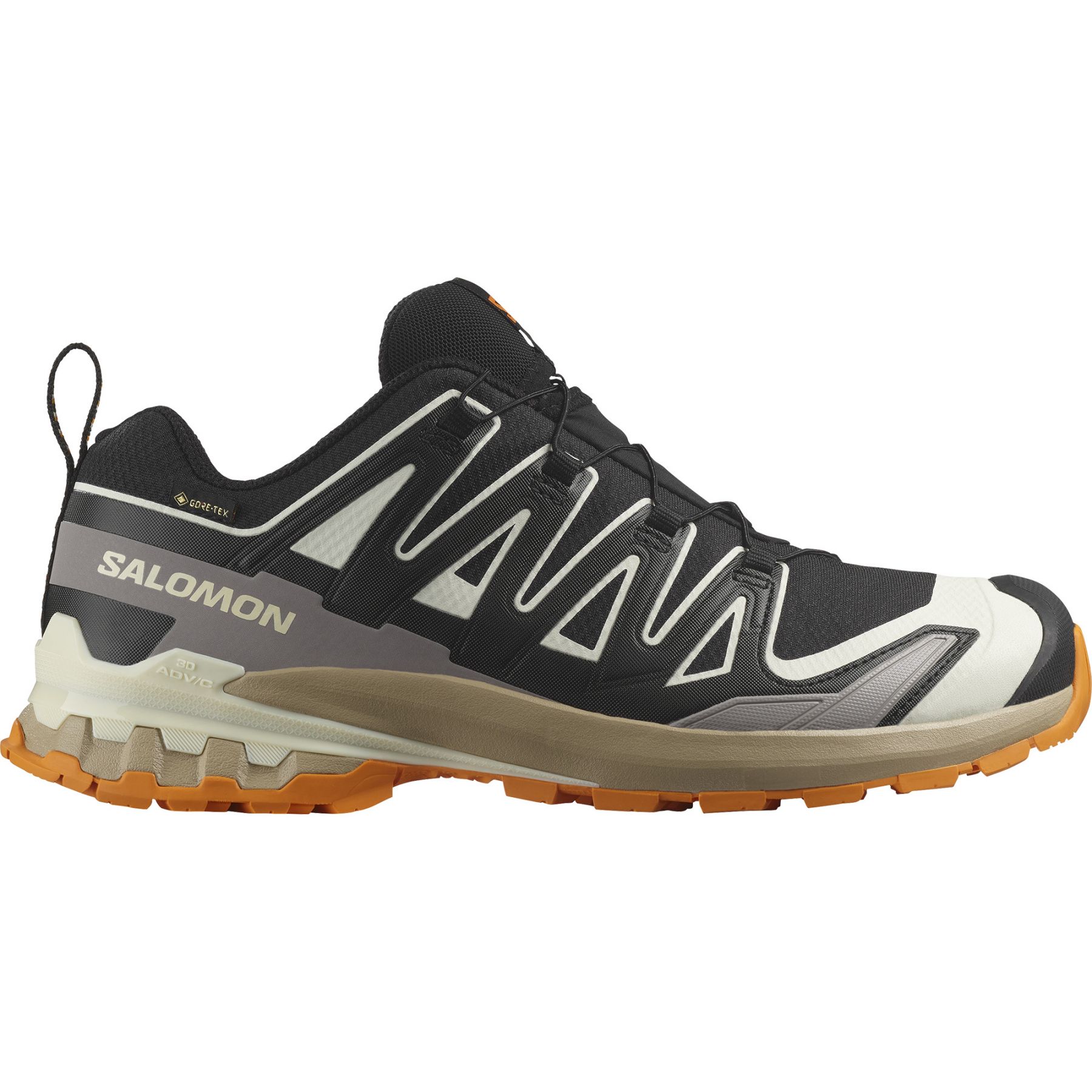 Salomon XA Pro 3D V9 GTX, Trailrunning-Schuh, Herren, schwarz