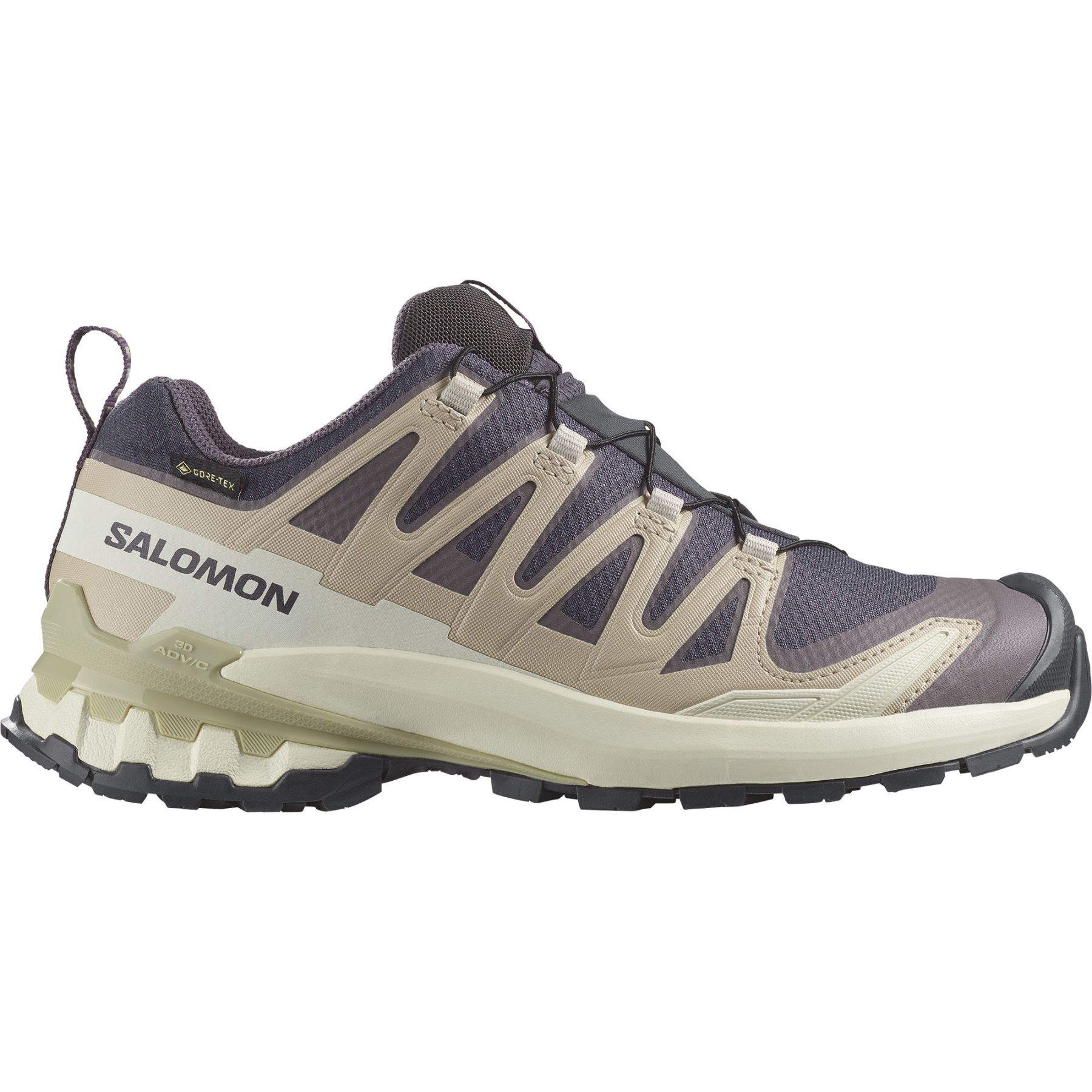 Salomon XA Pro 3D V9 GTX, Trailschuhe, Damen, lila