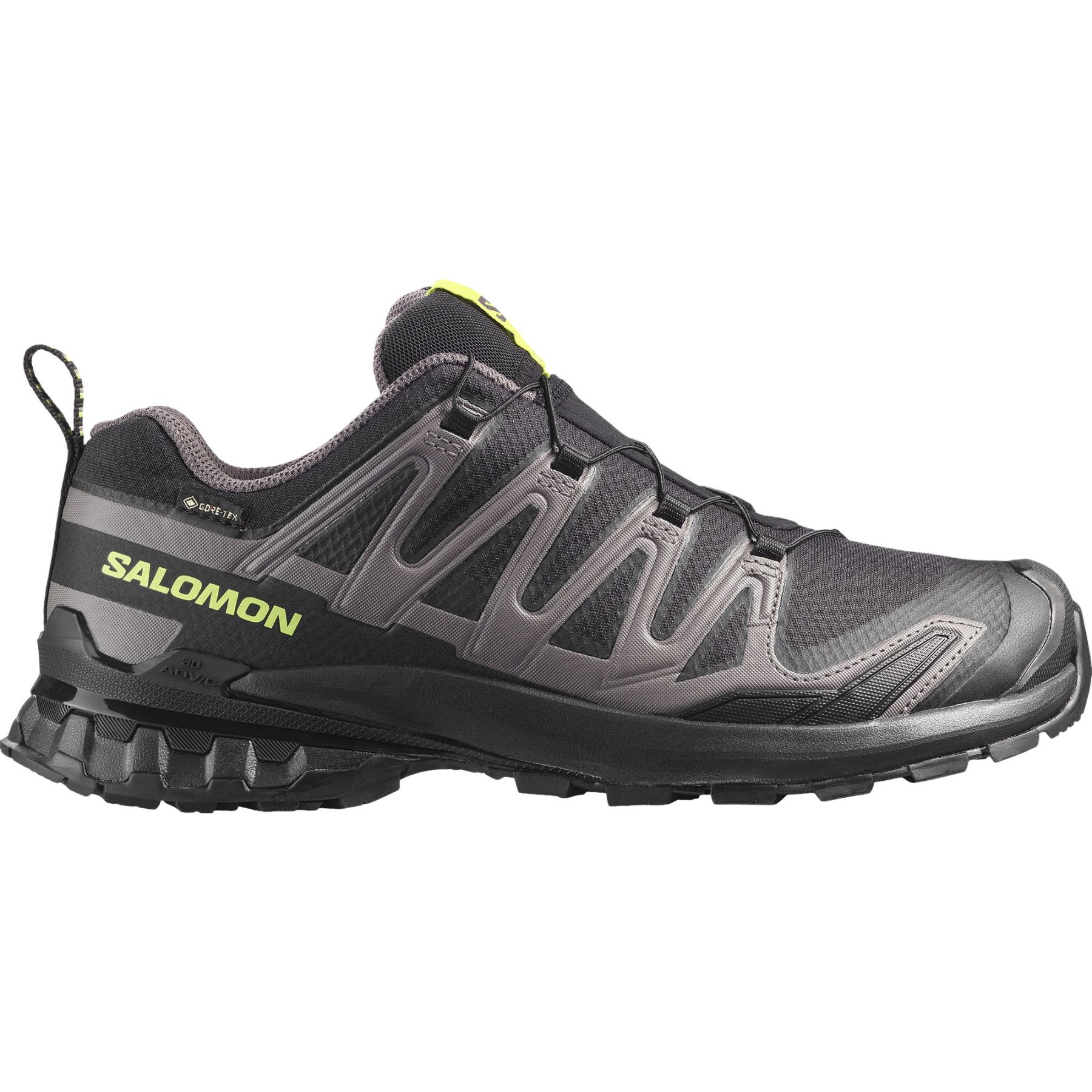 Salomon XA PRO 3D V9 GTX, Trailschuhe, Herren, schwarz/grün